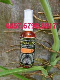 Hasil gambar untuk daun bungkus karawang