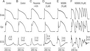 Image result for J Wave