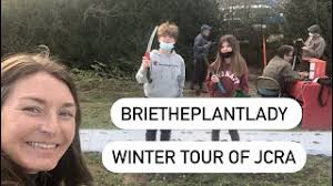 Brie's Plant Pick: Daphne