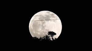 Today is buddha purnima or vaishakha purnima. Chandra Grahan Lunar Eclipse 2020 Today Guwahati Times