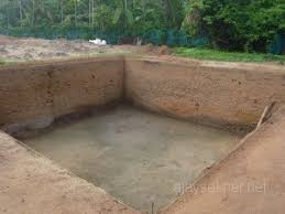 Image result for pattanam excavation