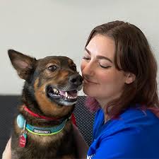 Veterinarian In Austin, TX 78750