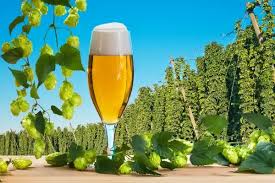 Origins of IPA: the real story