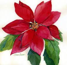 Christmas Poinsettia By Sue Kemp Christmas Drawing Christmas Poinsettia Flower Painting