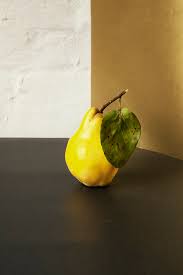 Use this collection of reference photos for inspiration, or to paint from. 100 Still Life Pictures Download Free Images On Unsplash
