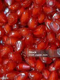 Image result for Punicaceae