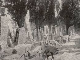 A Turkish Cemetery Constantinople National Geographic 1914 National Geographic Cemeteries Old Photos