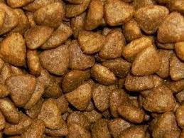 Homemade Dry Cat Food Recipe Kibble Homemade Cat Food Healthy Cat Food Dog Food Recipes