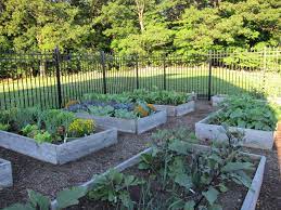Ajb built this innovative dog kennel and raised garden to keep the dog in and deer and other critters out. 10 Deer Fencing Ideas Deer Fence Garden Fencing Garden Fence