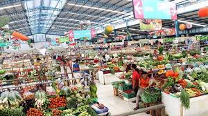 Kata holtikultura (holticulture) berasal dari bahasa latin, yakni hortus yang berarti kebun dan colere yang berarti menumbuhkan (terutama sekali mikroorganisme) pada suatu medium buatan (zulkarnain… Meski Pandemi Ekspor Komoditas Pertanian Di Perbatasan Indonesia Malaysia Melejit Regional Liputan6 Com