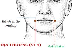 Huyệt địa thương là gì? Vị trí, tác dụng và cách bấm huyệt