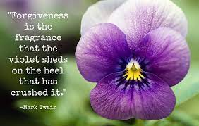 Timeline Photos Good Housekeeping Pansies Flowers Forgiveness Flower Meanings
