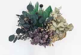 We did not find results for: Campaign Of The Week Broquet Contagious