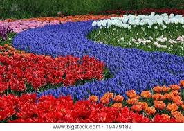 Perrie edwards revealed geri horner sent her flowers and a handwritten note, thanking her for giving a shout out to the spice girls during little mix 's brit perrie captioned the snap: Red White And Blue Flowers Images Illustrations Vectors Free Bigstock