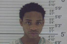 Cambria court system may handle seven homicide cases in 2017