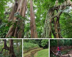 Zoom in and out of the map using the plus and minus icons in the bottom corner while selecting the map's markers will bring up more information about one of the featured towns or villages. Exploring The Dover Forest Sgtrek