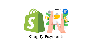 An Essential Guide on Shopify Payments - LearnWoo