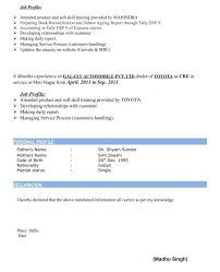 Its purpose is to offer the recruiter or hiring manager a powerful overview of. Samples Of Declaration On The Cv German Cv Template Format Lebenslauf In This Cv Sample The Jobseeker Provides A Detailed Experience Section That Emphasises Her Key Duties