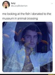Me Looking At The Fish I Donated To The Museum In Animal Crossing Ifunny Animal Crossing Funny Animal Crossing Memes Animal Crossing