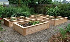 The entry to the garden is 30.5 inches wide. 404 Vegetable Garden Raised Beds Cedar Raised Garden Beds Building Raised Vegetable Garden