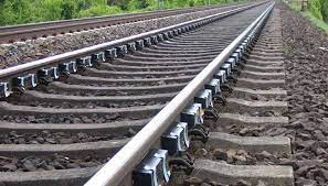 Vadodara: Wife kills husband with lover, throws body on railway track, hatches suicide plot