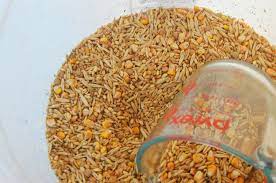 Organic Homemade Chicken Feed The Elliott Homestead Chicken Feed Homestead Chickens Organic Chicken Feed