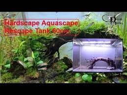 Hardscape Rescape Tank 60cm No Co2 Youtube Hardscape Aquascape Co2