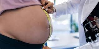 Disini kita akan membahas tentang proses perkembangan bayi dalam kandungan. Artikel Tinggi Fundus Uteri Gambaran Perkembangan Janin Dalam Kandungan