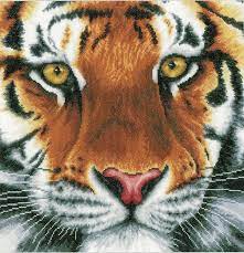 Cross stitch kit beginner jetzt bestellen! Tiger Cross Stitch Kit Only 56 00