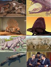 We did not find results for: Synapsid Wikipedia