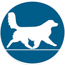 Discover & save with over 300k of the best deals and things to do near you. Durham Region S Best Dog Boarding Daycare Kennel Facility Furry Friends Pet Resort