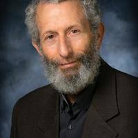 PDF) Jihadism' as New Religious Movement