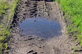 Image result for puddle to a pond