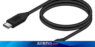 Beberapa jenis jenis ikan konsumsi air tawar baik yang mudah dibudidayakan ataupun ikan air laut dan juga pilihan jenis jenis ikan konsumsi air tawar dan gambarnya. Ini Beda Konektor Micro Usb Dan Usb Type C Bukan Sekadar Bentuk Halaman All Kompas Com