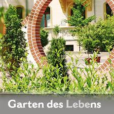 Die struktur baum des lebens steht in verbindung mit den lehren der jüdischen kabbalah, konnte aber bereits. Konzept Visualisierung Garten Des Lebens Rittweger Team