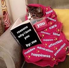Like What You See Go Ahead And Click That Follow Button You Ll Get To See New Pins Everyday Follow Katrina606 Cute Love Memes Love Memes Wholesome Memes