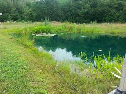 Maybe you would like to learn more about one of these? Pond Supplies For Muck And Clarity
