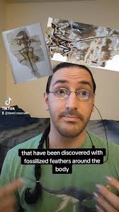 David Moscato (@dmoscato150) • Instagram photos and videos