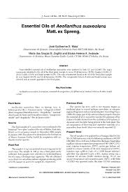 Image result for Aeollanthus suaveolens