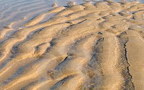 Ripple marks are sand patterns formed by the actions of winds, streams, waves or currents. Untitled Document