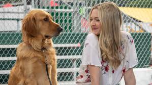 Where are golden retrievers from? Why I Refuse To Watch The Art Of Racing In The Rain