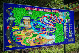 Explore one of selangor's most picturesque waterfalls! Portal Rasmi Jabatan Perikanan Malaysia