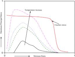 Shrinkage Of Food Materials During Drying Current Status