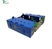 [Hot Item] Caja PARA Okra China Custom Printed Corrugated Paper Packaging  Box for Broccoli Manufacturer Supplier Factory