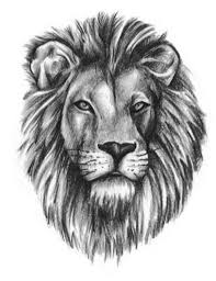 Pin On Dibujo A Lapiz