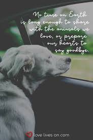 So Very True Pet Quotes Dog Pet Loss Quotes Dog Quotes