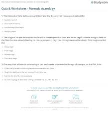Forensic Entomology Worksheet Answers Promotiontablecovers