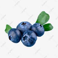 Ripe Berry Snack Blueberry Natural Still Life Health Png Transparent Image And Clipart For Free Download Fruit Photography Material Design Background Blueberry Fruit