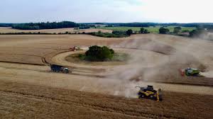 When the little sprout is expected, tom, who currently works as a gardener in the rtl program own house & garden can be seen, not known. Fendt Ideal Combine Page 3 The Combine Forum