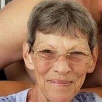 Nancy Lynne Fassett Obituary